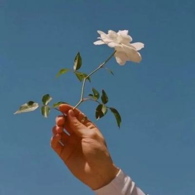 金年会体育APP下载官网