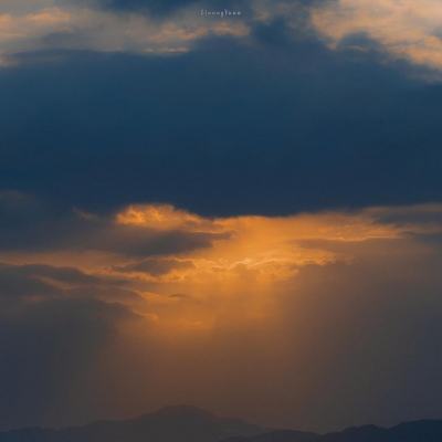 kok中欧登录入口