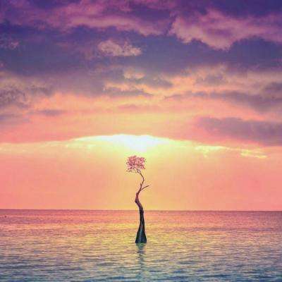 365游戏娱乐截图